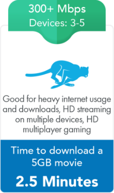 Graphic explaining what you can do with 300+ Mbps internet speed